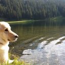 Stephen Block - @steveo263 - Twitter