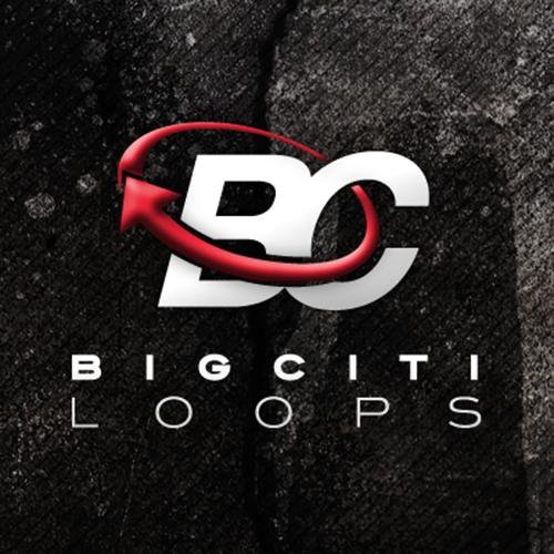 Big Citi Loops gives you a creative edge in the market place by bringing you high quality samples & royalty free instrumentals