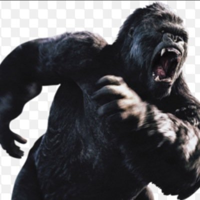 @Me in your tweet and i will retweet it follow my main Acc:@RushhOG