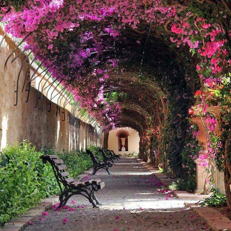 ARQUITECTO amante de la naturaleza y su entorno!!