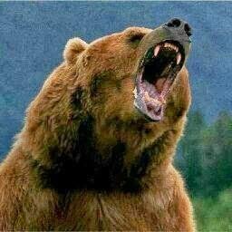 GoldenAvatar's profile picture. About myself in fewer than 160 chars.