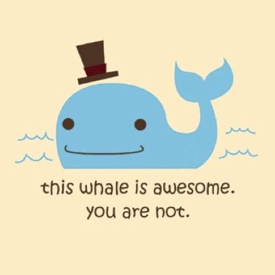gamer 4 life • PTV, SWS ,BMTH, ATL, ADTR, MP • I don't need haters • YC, RF, Mr.P, SL, KW, CZ • idk I'm just weird• just make sure you follow me