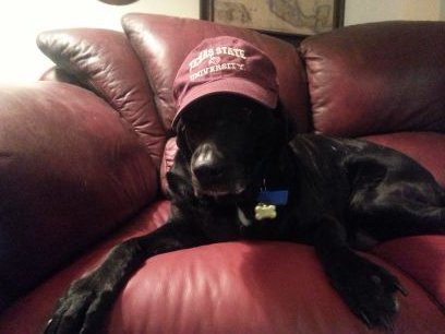 dmiddleton511's profile picture. 