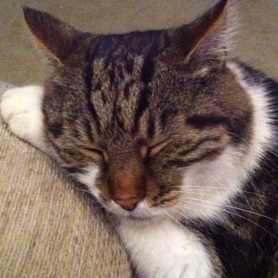 Data and Funding expert. FE MIS Professional with 27 years FE experience . Not a morning person!..... Wife, mother and cat lover.