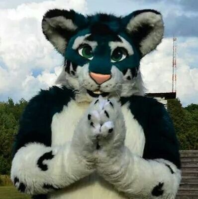 Tiger outside, Snow Leopard inside. https://t.co/Xgj8182u2R