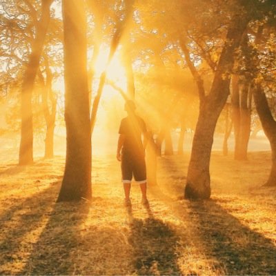 ClaudioAravena_'s profile picture. CSUS Economics 23’ MOT  🇨🇱🇨🇱