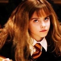 hermione grangers google search history