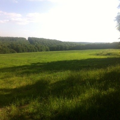 bcadi75's profile picture. 💡