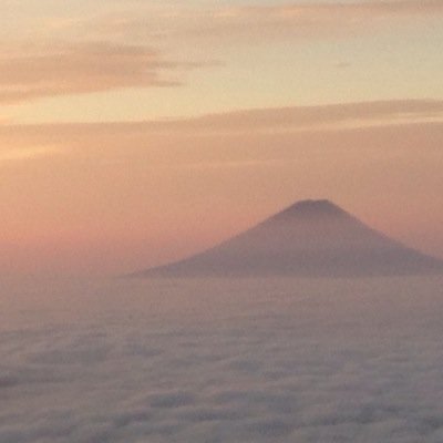 24年11月よりストリップ劇場に定期的に通うようになる。こんなに中毒性が強いとは
