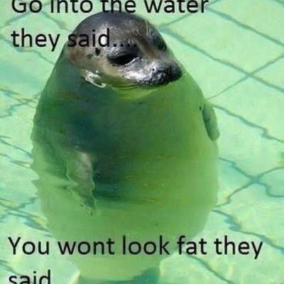 _funnyfarm_'s profile picture. Lots of funny pictures and videos posted daily! Send me your pics for a retweet