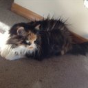 Jenny Waller - @waller_jen - Twitter