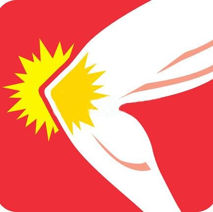 reumafinx's profile picture. Suplementos para Artritis y distribuidor de productos Ortopedicos