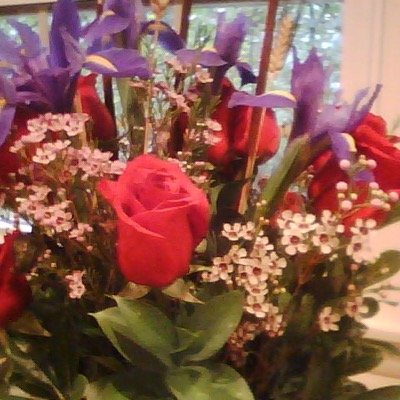 pmanning23's profile picture. 