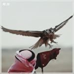 ‏الـصحبة الـصالحة : هـي تلـك الـتي تـجعلك تعـيش حـياتين ، واحـدة هـنا والأخـرى فـي الـجنة.