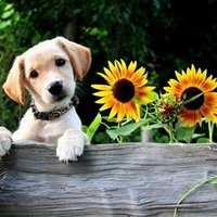 Tity Bejarano (@serendipitytity) 's Twitter Profile