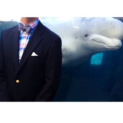 TheSouthprep's profile picture. 