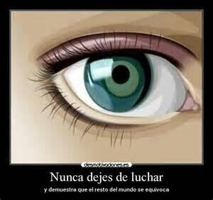 Sinceridad, libertad, tolerancia y respeto