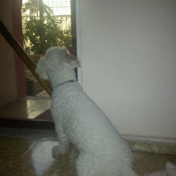 22_papoy's profile picture. 