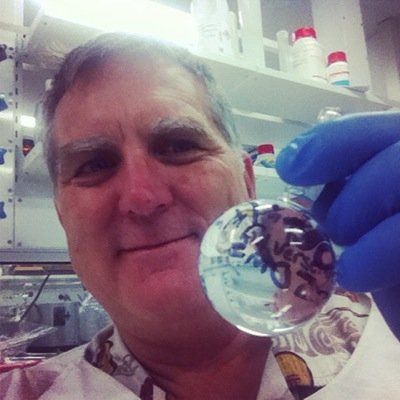 The MRI side of Greg Brown PhD. Lecturer/ Researcher at the University Of South Australia