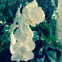 Silvia Arredondo - @sarredondo9 - Twitter