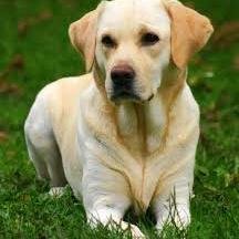 jacqui01281497's profile picture. 