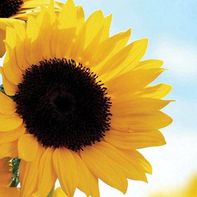 madgirl910's profile picture. 