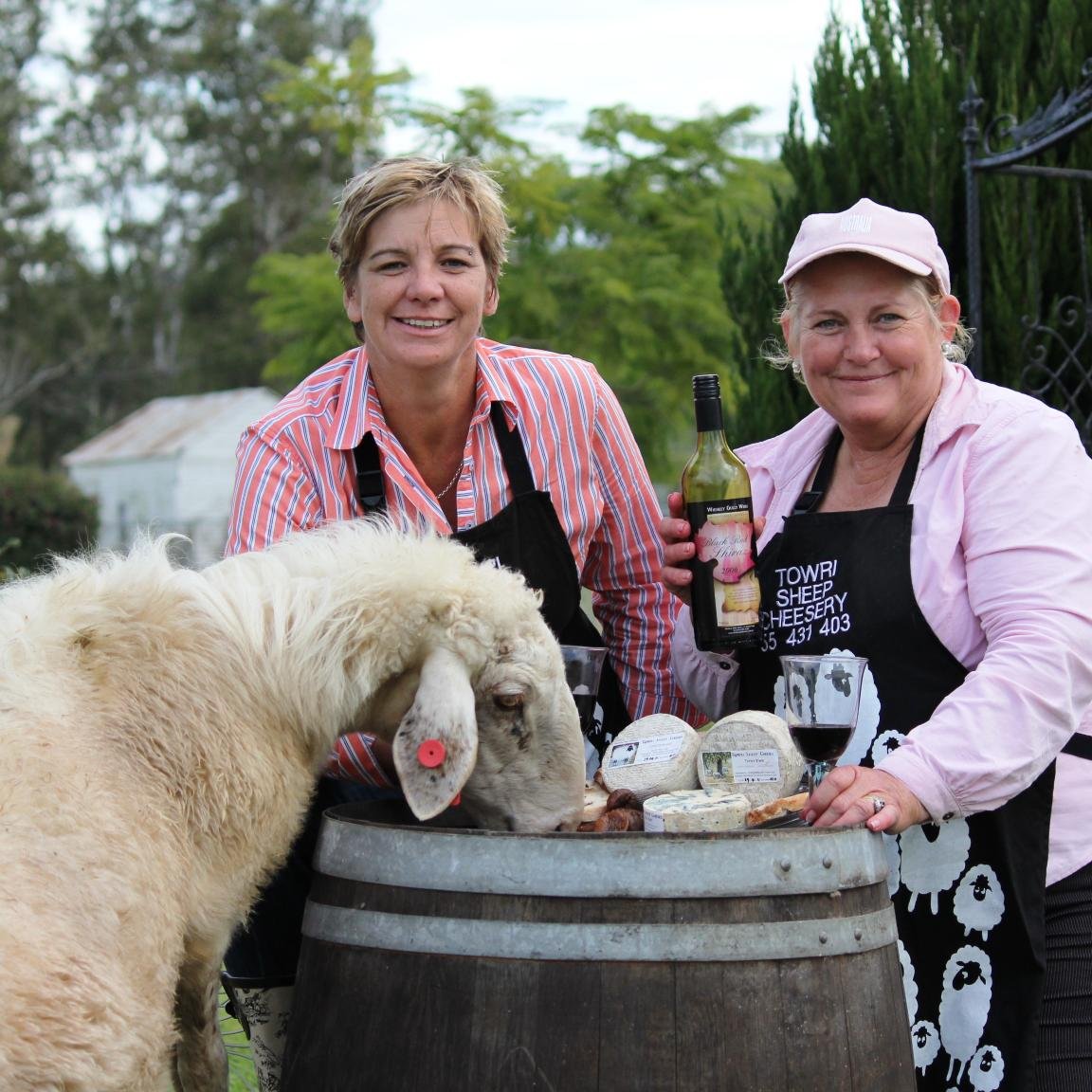 We are the only Sheep Cheesery in Queensland Australia and offer onsite tastings of our fantastic cheeses and tours of our facilities and farm. Checkout site