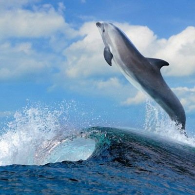 asia_dawson's profile picture. 