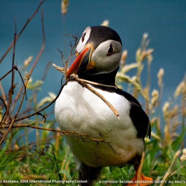 EALewin's profile picture. 