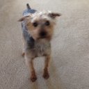 James Armel - @Jams_and_jelly - Twitter