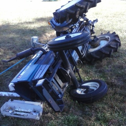 restorationpast's profile picture. Restoration Pastures. Family run, sustainable, locally grown, farmers. Rural GA is the place to be.