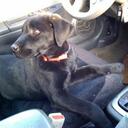 Marcus Vogel - @mvogel989 - Twitter