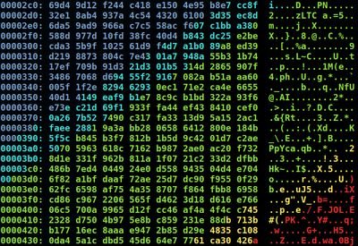Information Security