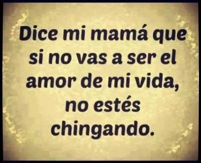 elibermudani's profile picture. 