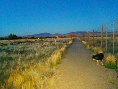 zimmerman_bob's profile picture. 