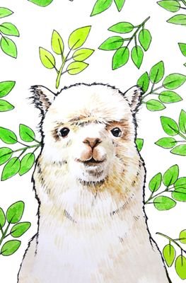 AciEG155's profile picture. 