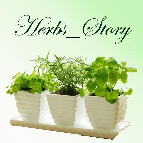 Go Green Save our Earth.             Natural herbs remedies best alternatives to replace drug medications.
#Health #Herbs #Lemonbalm #Herbs_Story
