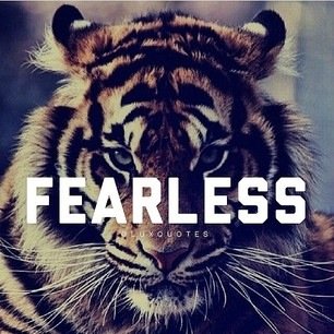 ironaddict27's profile picture. Weight Lifting - Wrestling