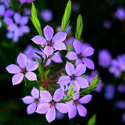 TrekkinLife's profile picture. 