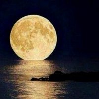njde202 (@njde202) Twitter profile photo