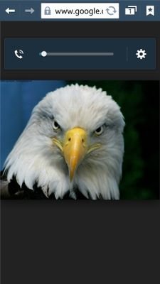 EagleRam1's profile picture. USMC & USAF Vet, Conservative, Constitution, Christian, Pro Israel, Closed Borders, No Amnesty, Term Limits, Flat Tax, Small Government, Fix Welfare, Irish!