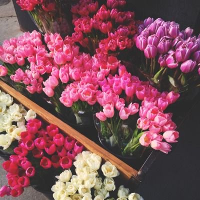 ‏‏‏‏‏يارب‏ إذا حضرتني الوفاة
سخّر لي من يُلقنّي الشهادتين
وأطلق بها لساني
وسهل عليّ سكرات الموت
واحسن خاتمتي

‏