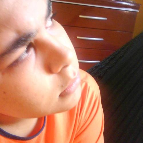 Programador Python; Php; Mysql; Html; Css, Designer e Viciado em Twitter :P