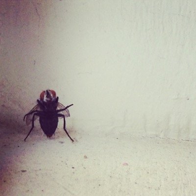 barticus59's profile picture. 