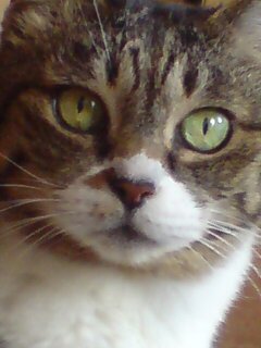 mado45074709's profile picture. 見る専で、時々ｺﾒﾝﾄします😽