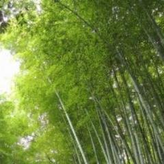 病気のことと気になる商品の情報を発信します。ぜひRTしてくださいね。自動で副収入が手に入る無料ツイッターツールのプレゼントはこちら↓