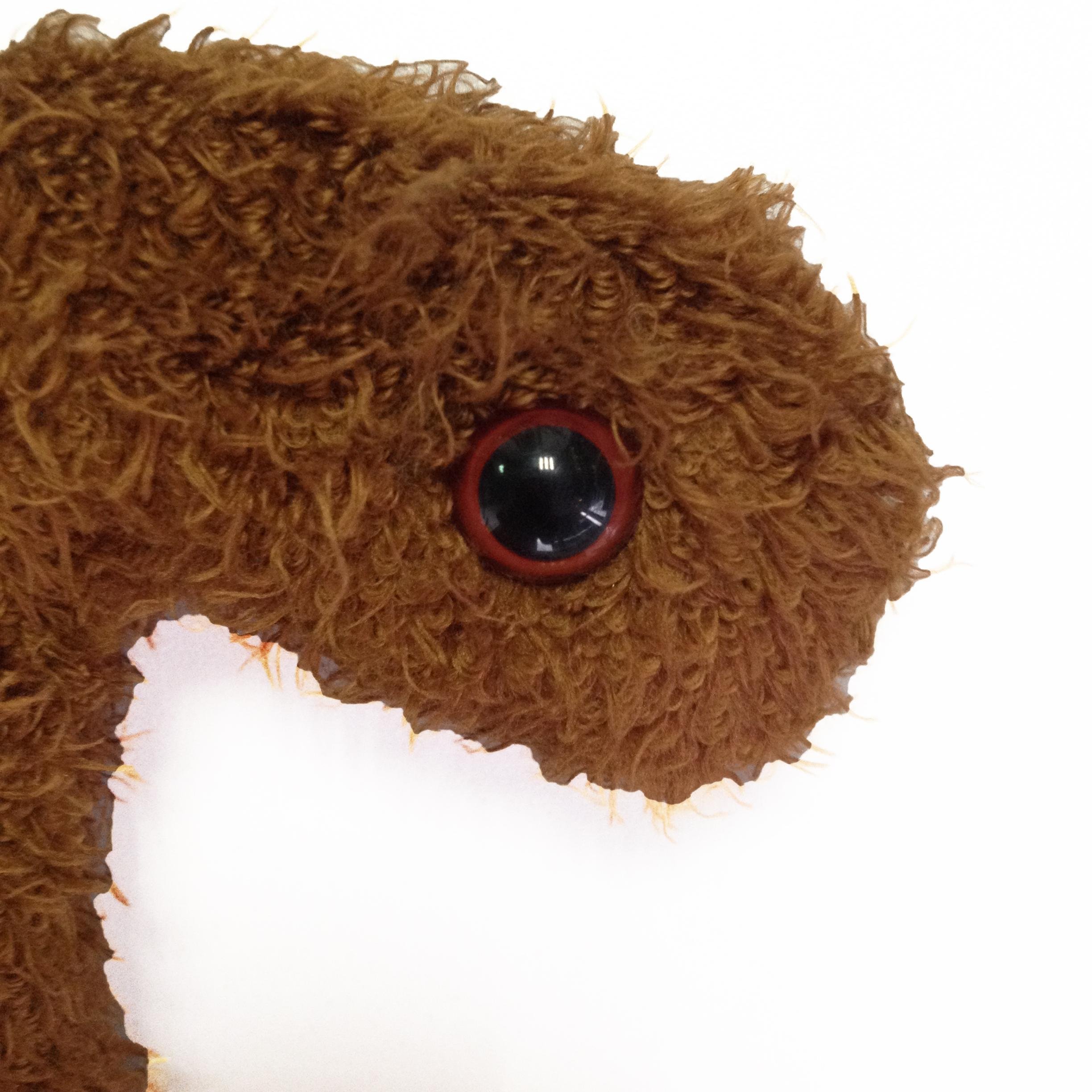 #CuteandCuddly #virus.  #ebolabuddy - that's me. Ebola Virus is my cousin. He's a jerk.  We don't even talk to him anymore.  I'm #lovable and I won't hurt you.