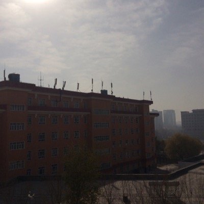 XClustering's profile picture. 