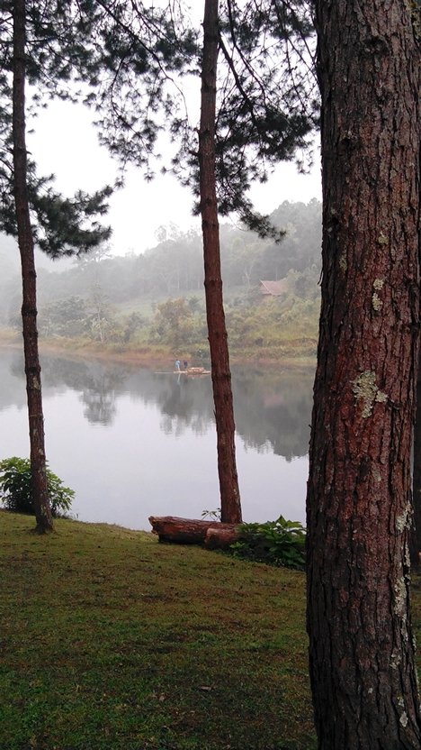 JourneySura's profile picture. ชีวิตนึง..ทำตามฝันสักครั้ง