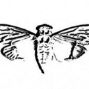 Ivan Eriksen - @ShubhamCyril - Twitter